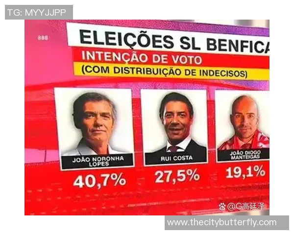 维森特的传奇旅程：探索他在历史与文化中的深远影响与启示